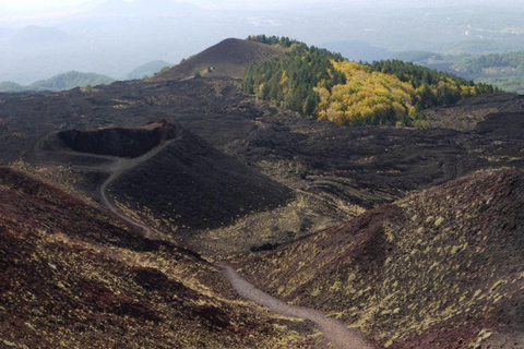 Etna Tour by Panoramic Bus