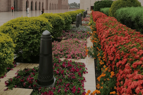 Muscat : Half-Day Guided City Tour with Pick-Up & Drop-Off