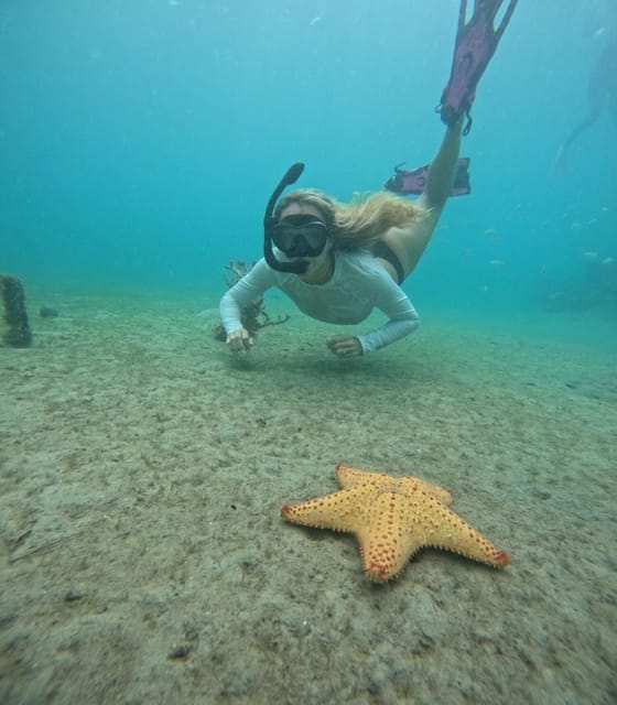 West Palm Beach Private Peanut Island Boat & Snorkel Tour GetYourGuide
