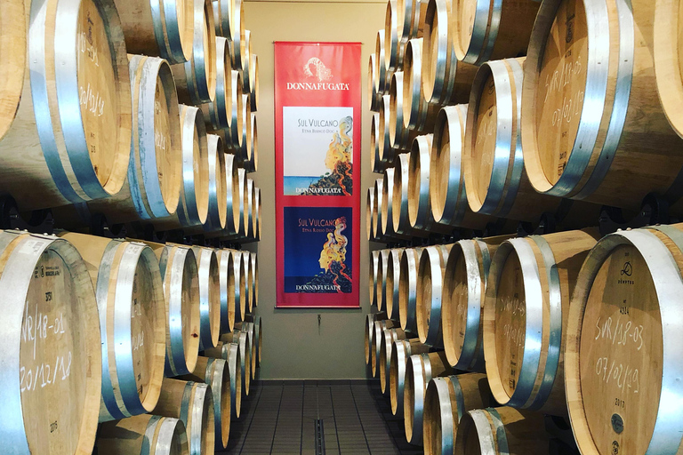 Etna Quad & Wine Combo Private Tour 1 Quad Per Person