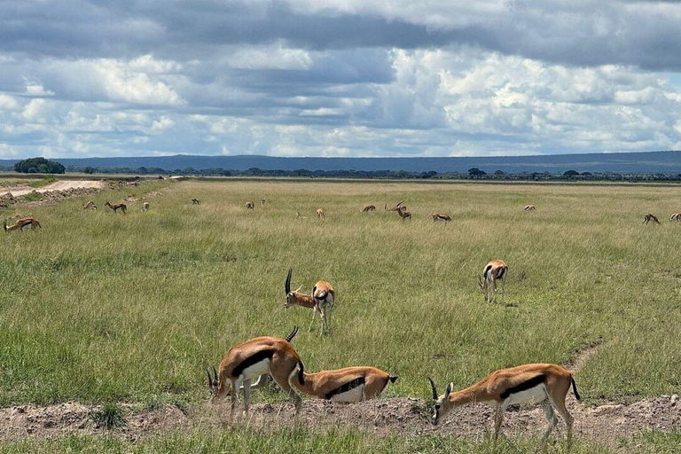 Nairobi: 4 Days epic trip to Amboseli, Tsavo West & East