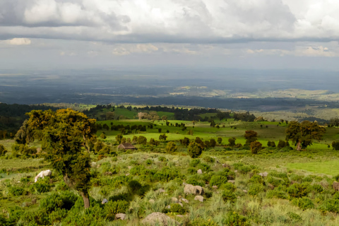 5-dniowa wycieczka do Parku Narodowego Bale i gór