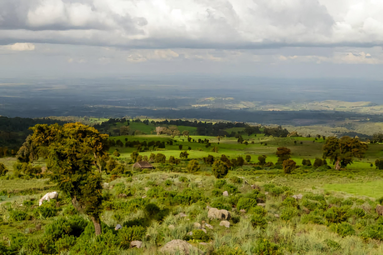 5-dniowa wycieczka do Parku Narodowego Bale i gór