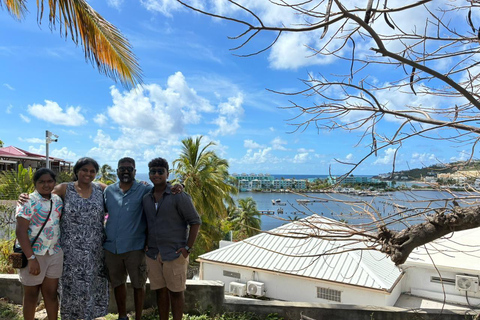 St. Maarten: Island Tour with Maho Beach and Marigot