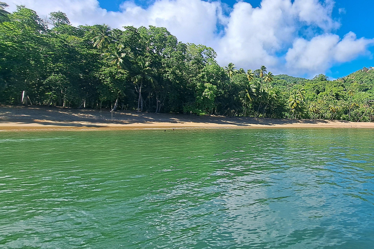 Snorkel et BBQ sur la côte