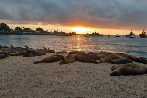 Isabela Island: Concha Perla Snorkeling Experience