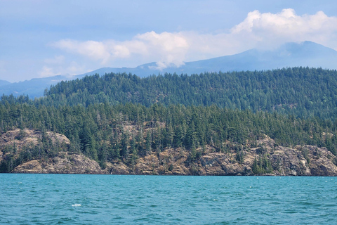 Vancouver : Excursion d'une journée à Whistler avec trajet en télécabine Sea to SkyVancouver : excursion d'une journée à Whistler avec la télécabine Sea to Sky