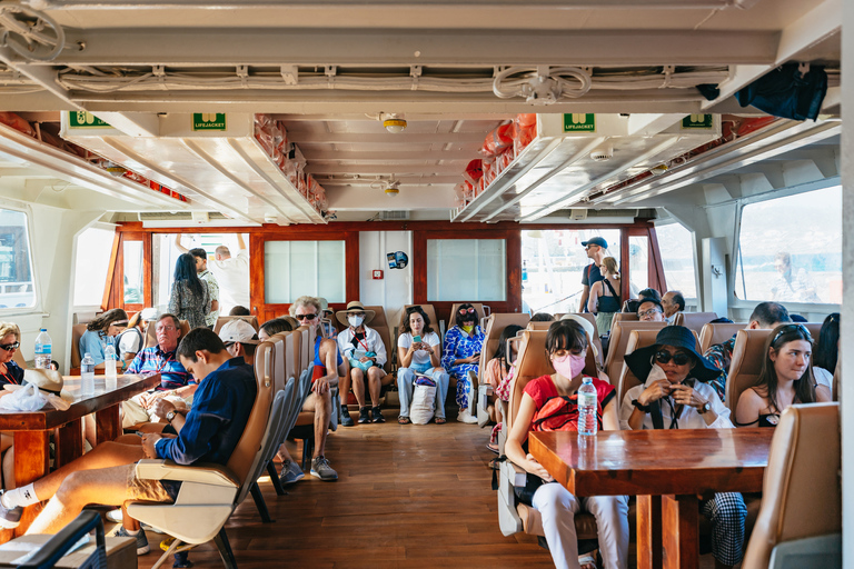 De Mykonos : visite guidée de Delos avec billets coupe-fileVisite en italien