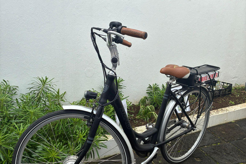 电动自行车租赁：Fenais da Luz Experience电动自行车租赁：Fenais da Luz体验