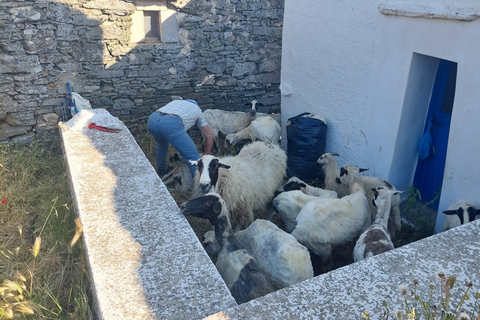 Tinos : Aventure de randonnée de 3 jours