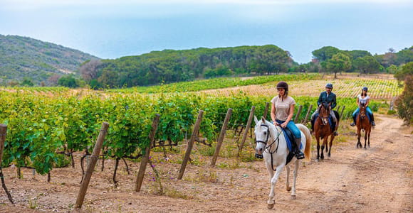 Private Chianti Horse Riding & Wine Tasting Experience
