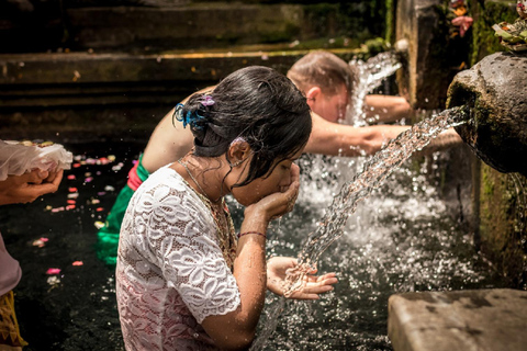 Ubud: Waterfalls, Water Temple & Rice Terraces Private Tour Private Tour With Entry Tikets