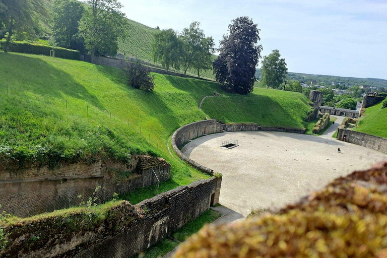 From Luxembourg: Trier Day Trip with Roman Heritage
