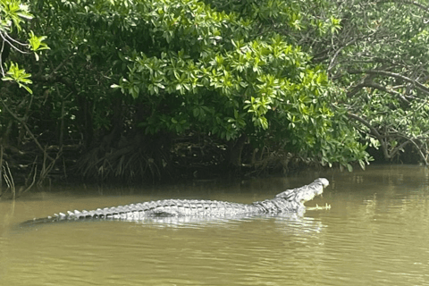 From Mirissa: Nilwala River Private Crocodile Watching Tour