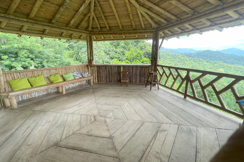 Minca: Coffee Farm and Hidden Waterfall Tour with Lunch