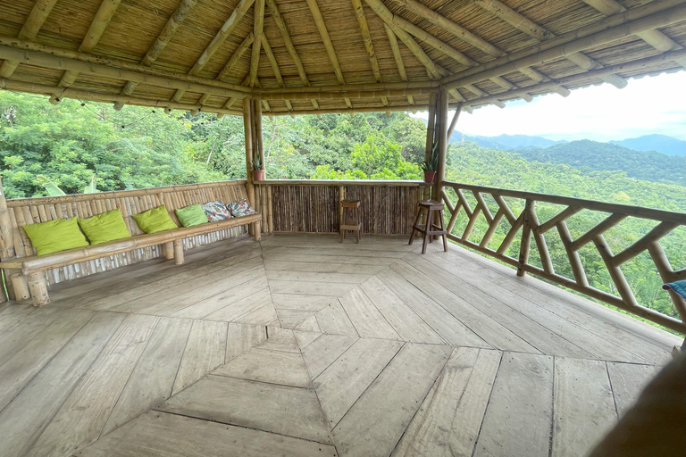 Minca: Coffee Farm and Hidden Waterfall Tour with Lunch