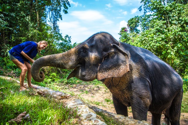 Visit Khao Sok Ethical Elephant Sanctuary Experience in Phang Nga