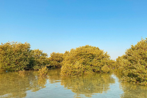 Ganztagestour Katar Nord und West | Geschichte und Erbe