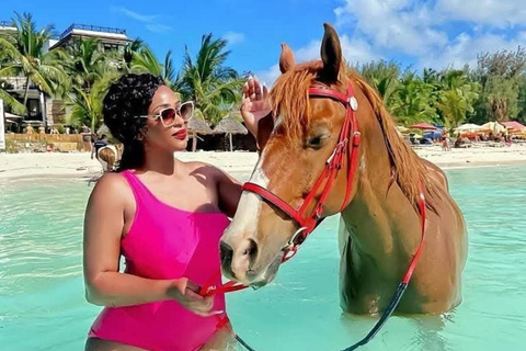 Swim with Dolphins Mnemba, Snorkeling, & Beach Horse Riding NO TRANSFERS INCLUDED – 30 MINUTES HORSE RIDING ONLY