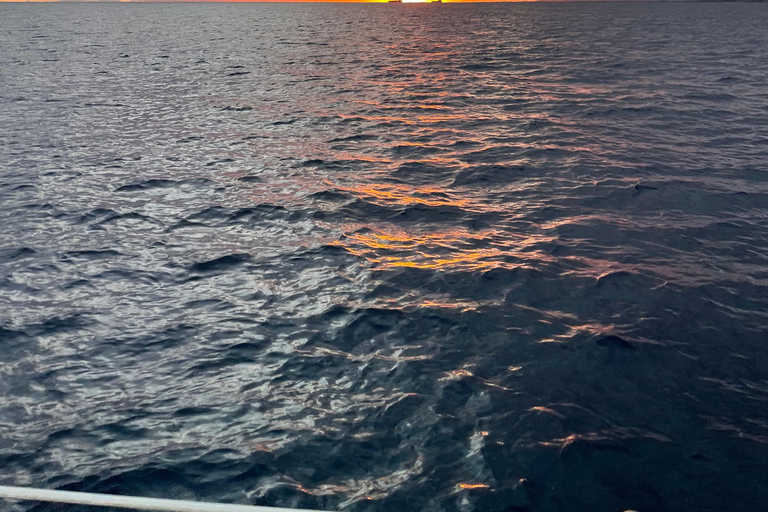 Oahu: Aluguel de vela para baleias