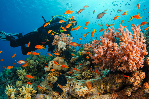 Aqaba: Esperienza di immersione con accesso a spiaggia e piscina privata