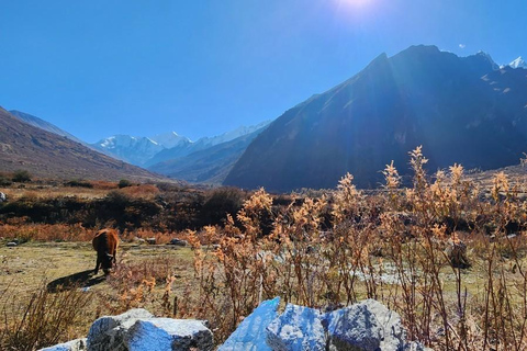 Journey Through Langtang: A 6-Day Trek with Meals