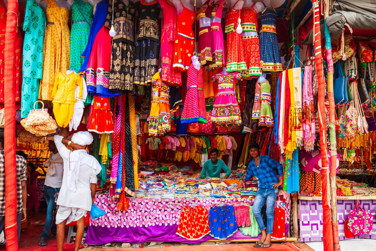 Delhi: Old & New Delhi Private Full or Half-Day Guided Tour This Option Provide Only Tour Guide