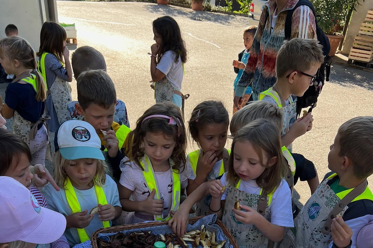 Family adventure: Farm-to-Scoop, Create Your Own Ice Cream!
