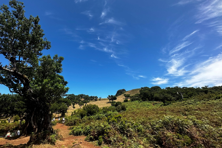 Unveil West Madeira: 4x4 Cliffs, Pools & Views Madeira Island full day 4x4 jeep tours