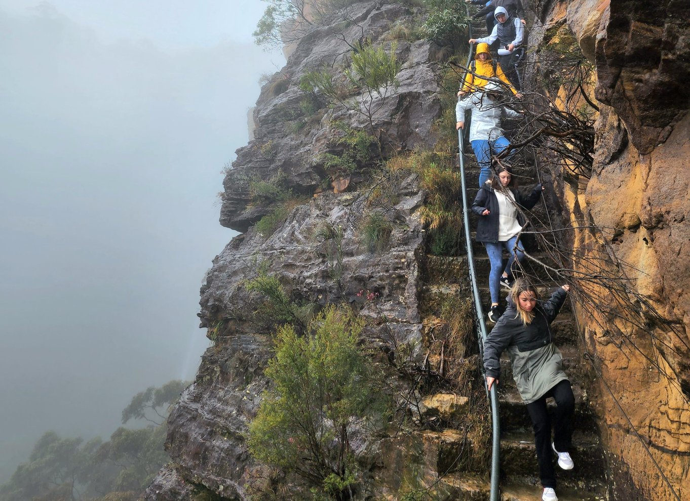 Fra Sydney: Blue Mountains-tur med vandfaldsvandring og frokost