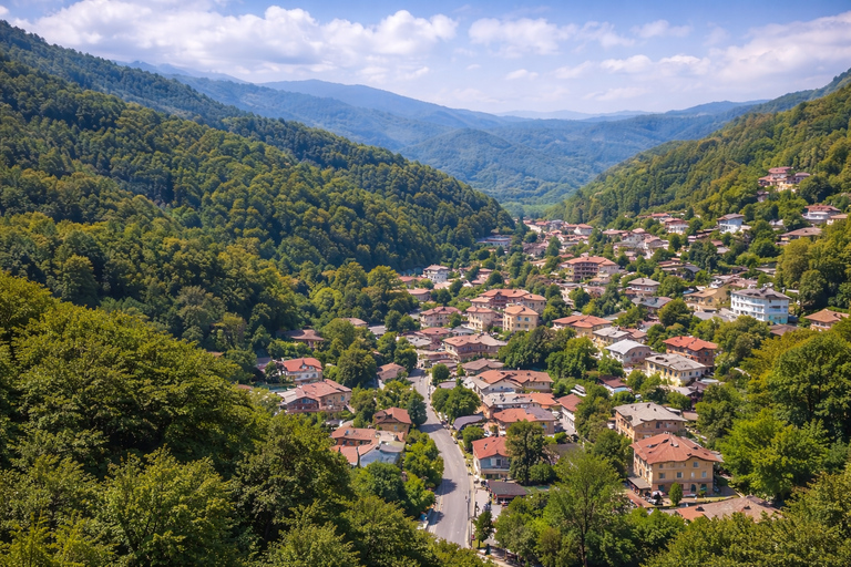 From Yerevan: Vanadzor, Lake Sevan, and Dilijan Day Trip