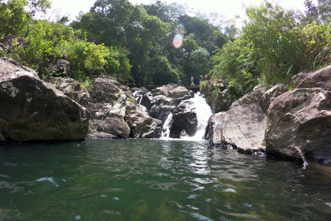 Kandy : Chutes d&#039;eau et visite d&#039;un village local avec déjeuner