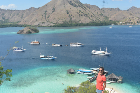 Labuan Bajo: 3-Day Komodo Herping Trip with Snorkeling