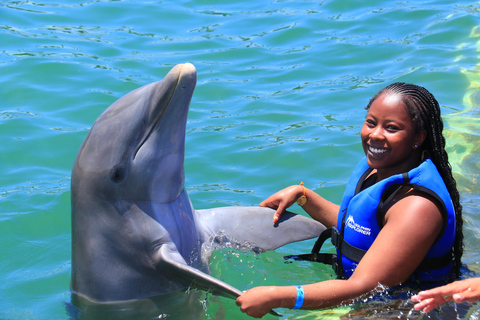 Punta Cana Dolphin Swim Adventure: 40-minutowa przygoda z delfinami