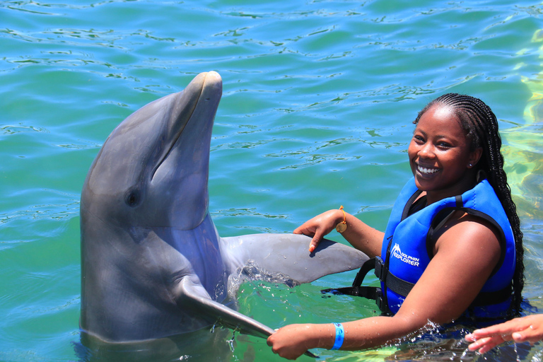 Aventure de nage avec les dauphins à Punta Cana : 40 minutes d&#039;expérience avec les dauphins