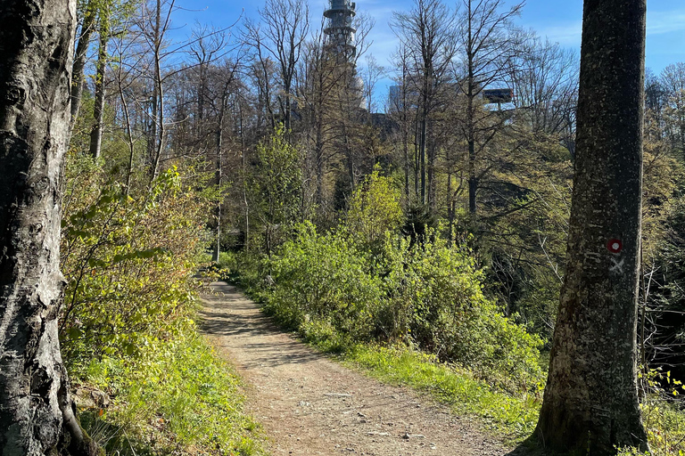 Zagreb: Guided cycling MTB tours on eBike & bike rental Tour duration and guide info