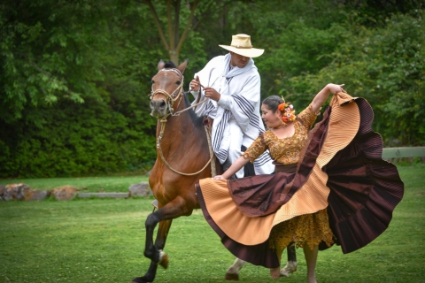 Van Trujillo | Marinera show met Peruaanse Paso paarden