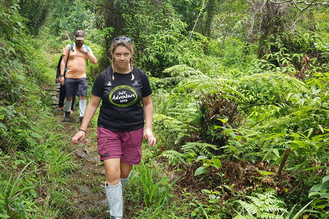 Art Lanka Knuckles Trekking