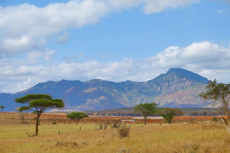 Tsavo East and Salt Lick Safari Lodge 2-Day Tour