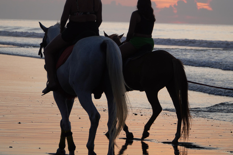 Bali: Bali Beach Horse riding Experience Horse Riding Beach 1 Hour No Transport