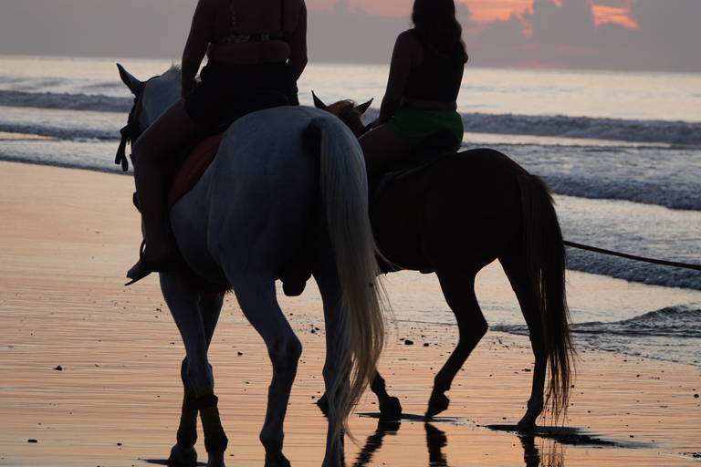 Bali: Bali Beach Horse riding Experience Horse Riding Beach 1 Hour No Transport