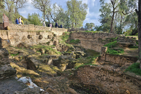 Excursión de un día a Cartago y Sidi Bou Said