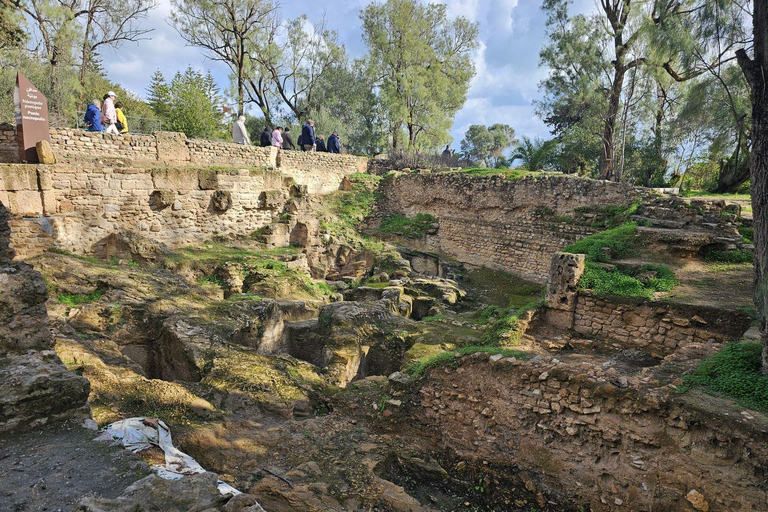 Excursión de un día a Cartago y Sidi Bou Said