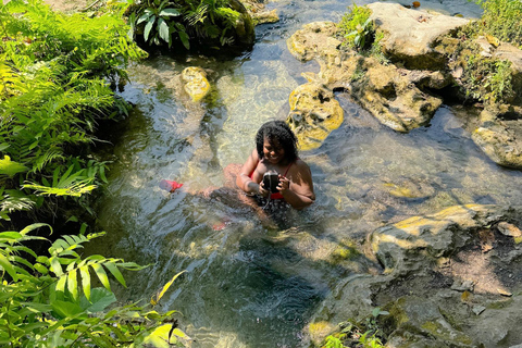 Chiang Mai: The Original Sticky Waterfalls & Thai Cooking