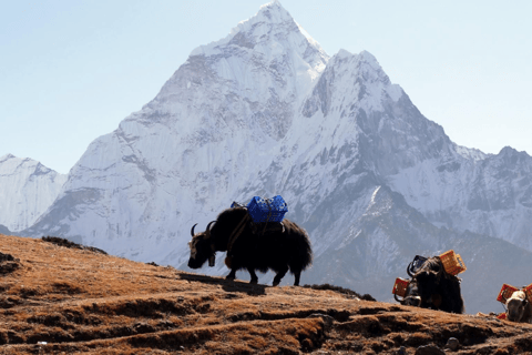 Kathmandu: 14-Day Everest Base Camp Trek with Accommodation