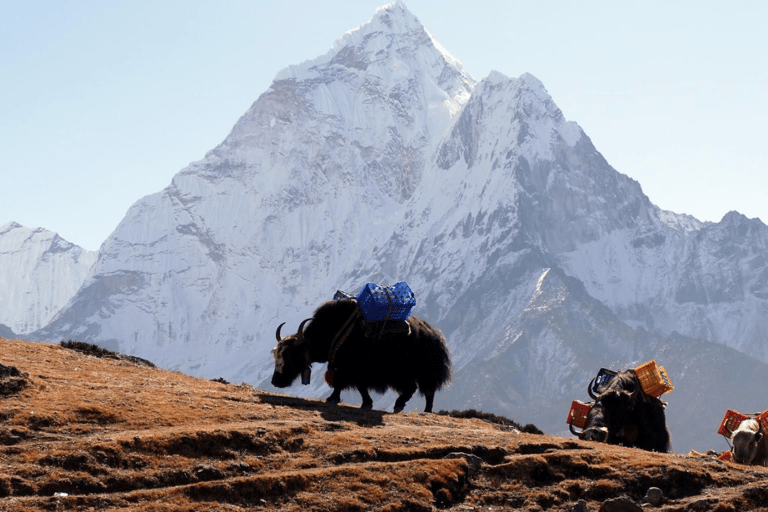Kathmandu: 14-Day Everest Base Camp Trek with Accommodation