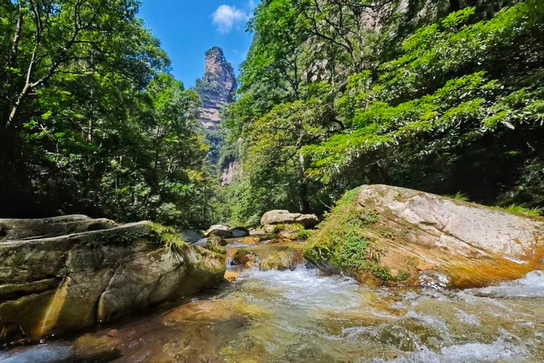 Zhangjiajie National Park-Mt.Avatar Landing Tour