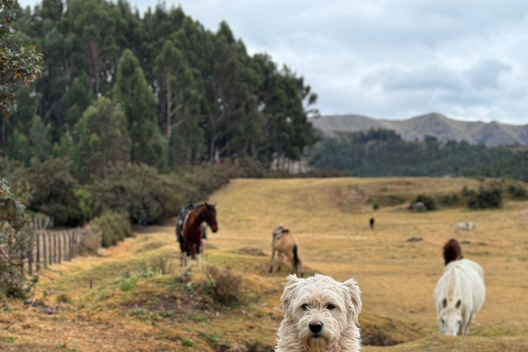 Cusco: Horseback Riding Tour to Inca Temples and Viewpoints