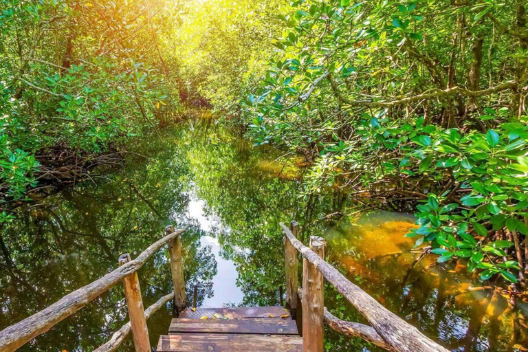 ZANZIBAR: wycieczka do Jozani Forest i restauracja The RockTRANSPORT WLICZONY W WYBRANĄ OPCJĘ WYCIECZKI