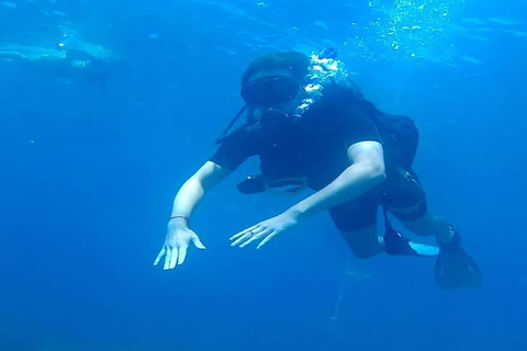 Punta Cana: Catalina Island Scuba Diving Day Trip